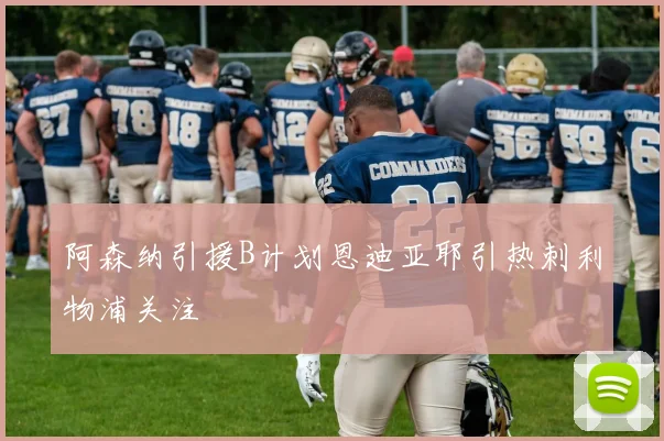 阿森纳引援B计划恩迪亚耶引热刺利物浦关注