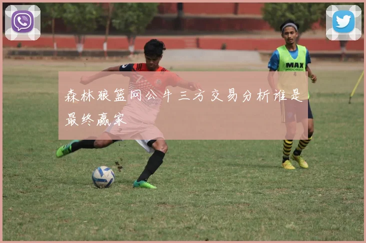 森林狼篮网公牛三方交易分析谁是最终赢家
